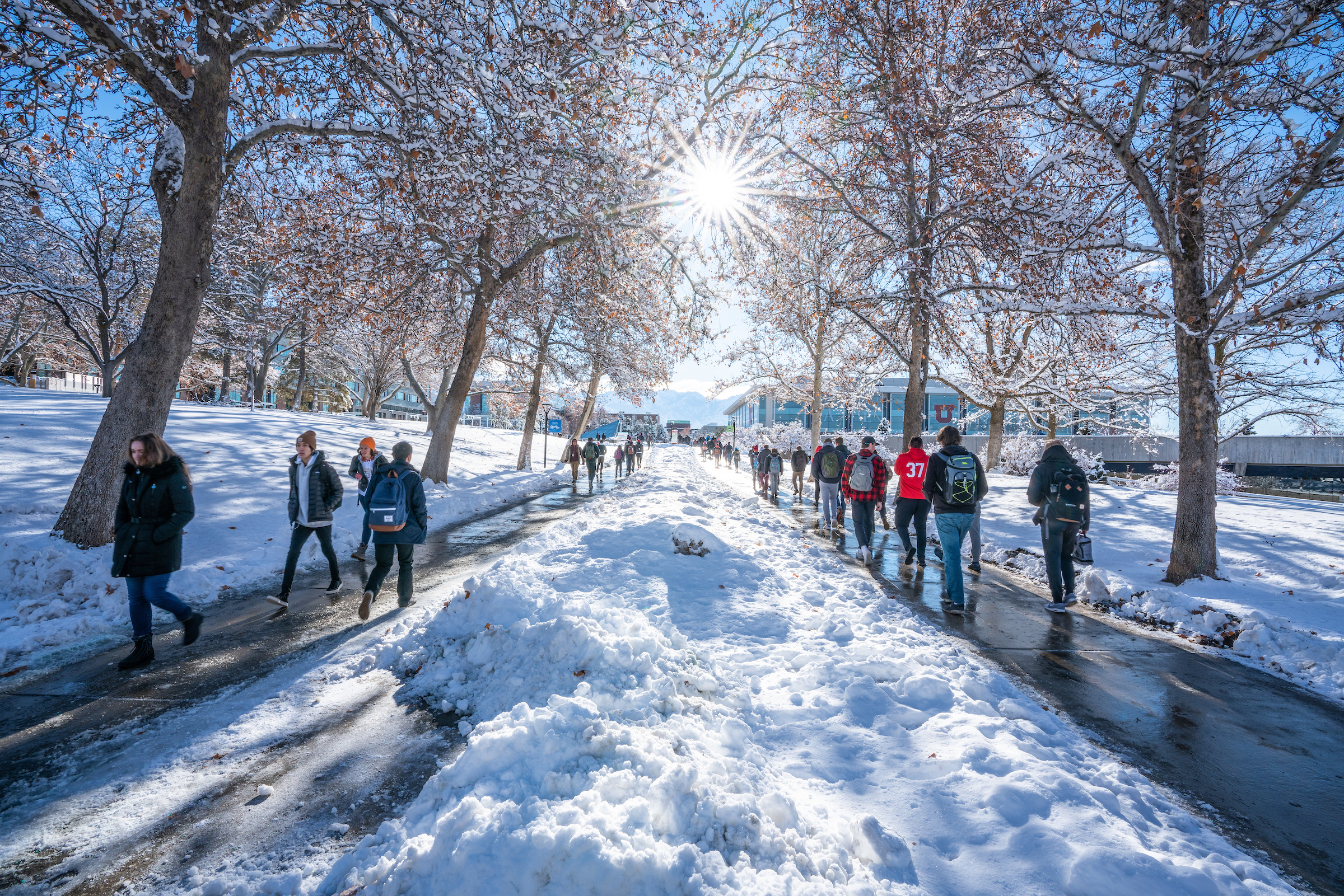 snowy sidewalk on the university of utah campus