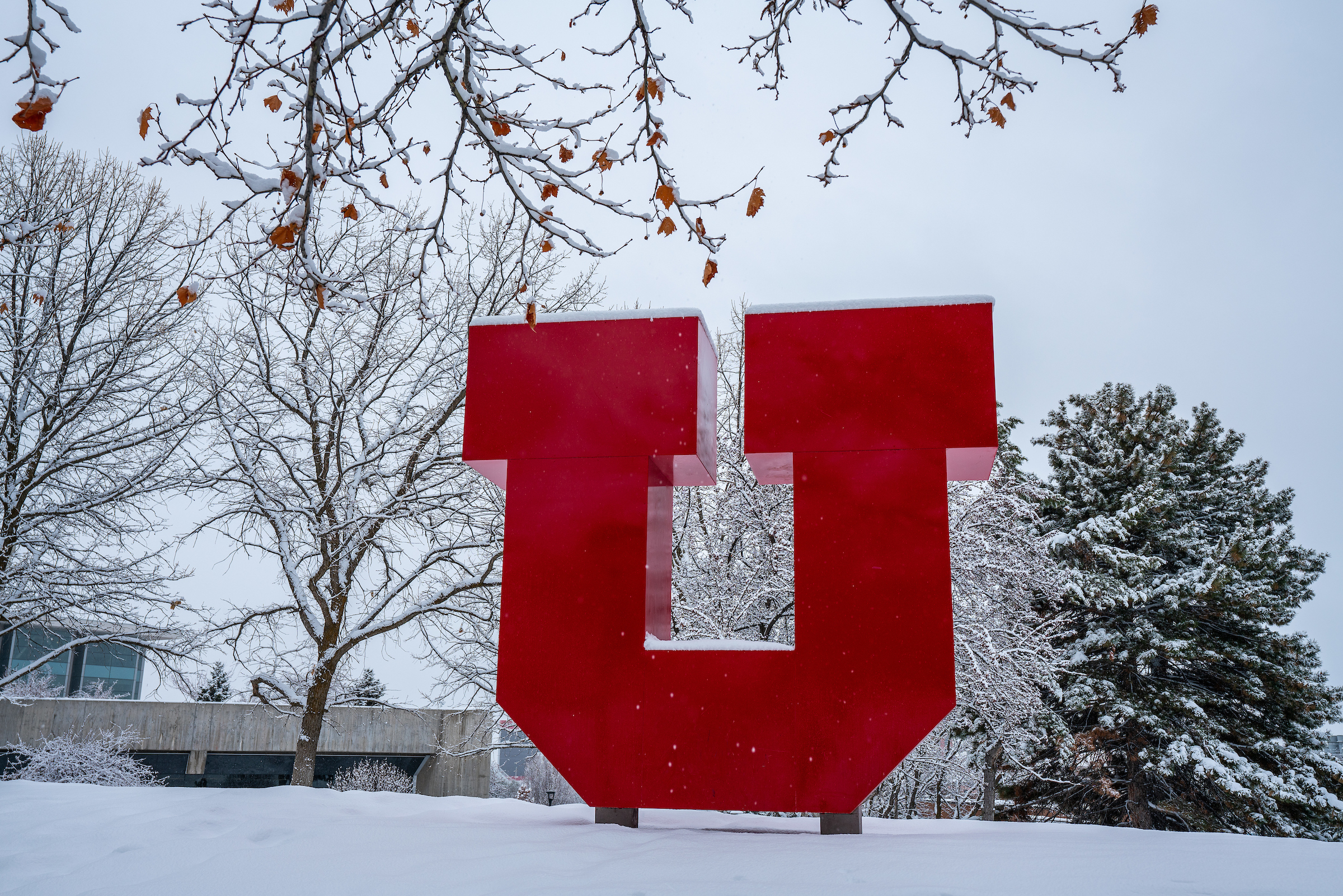 the Block U installation covered in snow