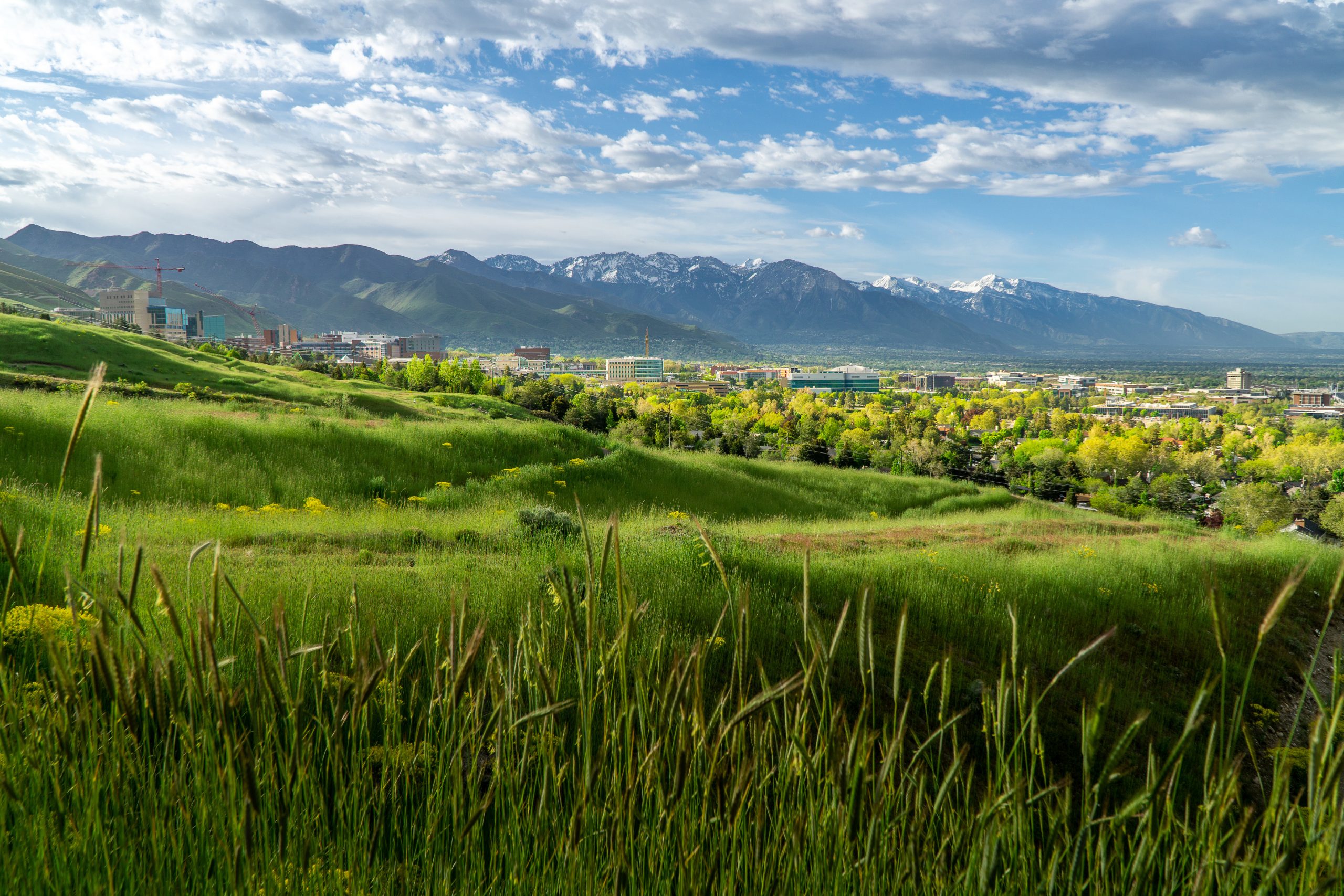 a lush mountain trail overlooking the University of Utah campus